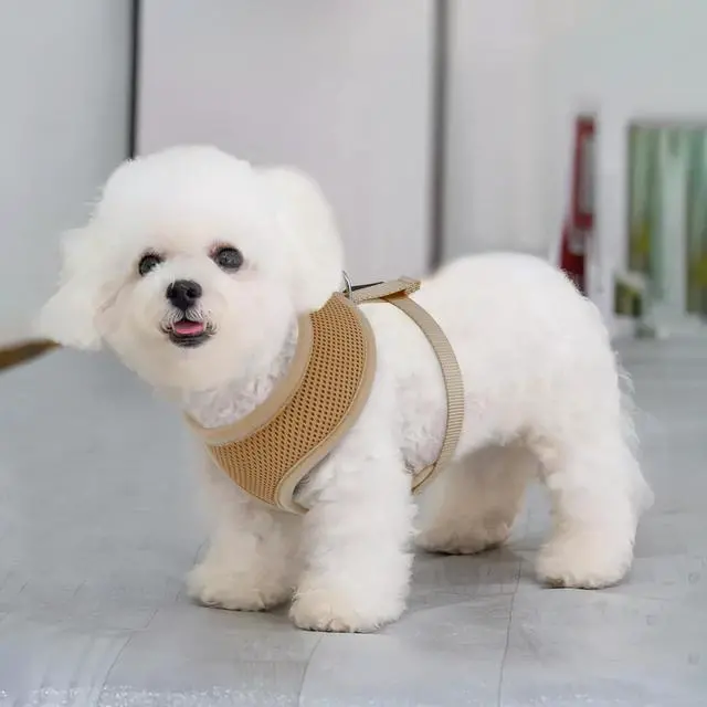 Alt view image 3 of 7 - Dog Harness for Small Sized Dog, Soft Puppy Padded Vest for Walking, Running, Training - Light Brown, XS