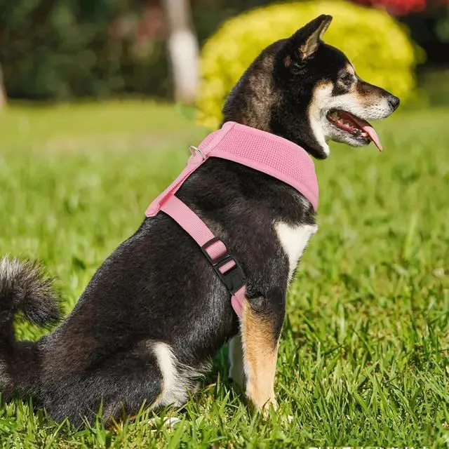 Alt view image 3 of 7 - Dog Harness for Large Sized Dog, Soft Puppy Padded Vest for Walking, Running, Training - Pink, XL