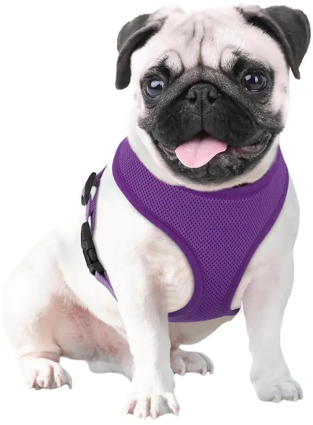 Main image of Dog Harness for Medium Sized Dog, Soft Puppy Padded Vest for Walking, Running, Training - Purple, L