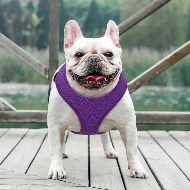 Alt view image 3 of 7 - Dog Harness for Medium Sized Dog, Soft Puppy Padded Vest for Walking, Running, Training - Purple, L