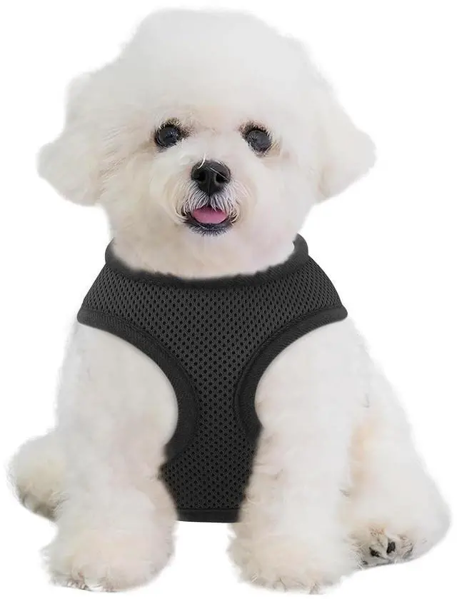 Main image of Dog Harness for Small Sized Dog, Soft Puppy Padded Vest for Walking, Running, Training - Black, XS