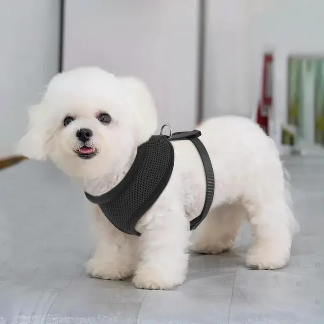 Alt view image 3 of 7 - Dog Harness for Small Sized Dog, Soft Puppy Padded Vest for Walking, Running, Training - Black, XS