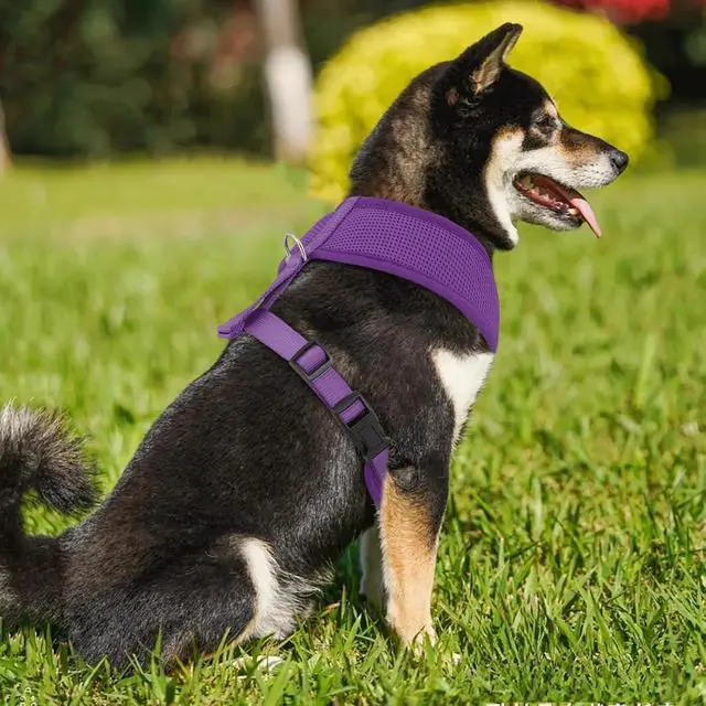 Alt view image 3 of 7 - Dog Harness for Large Sized Dog, Soft Puppy Padded Vest for Walking, Running, Training - Purple, XL