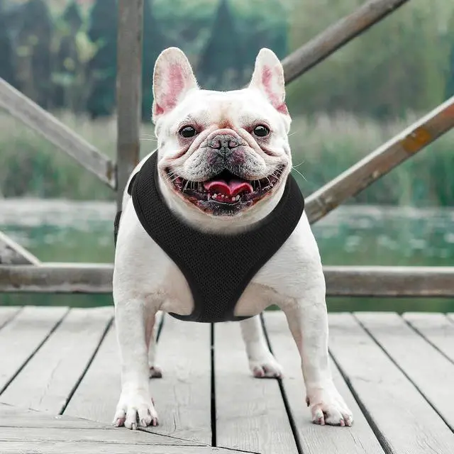 Alt view image 3 of 7 - Dog Harness for Medium Sized Dog, Soft Puppy Padded Vest for Walking, Running, Training - Black, L