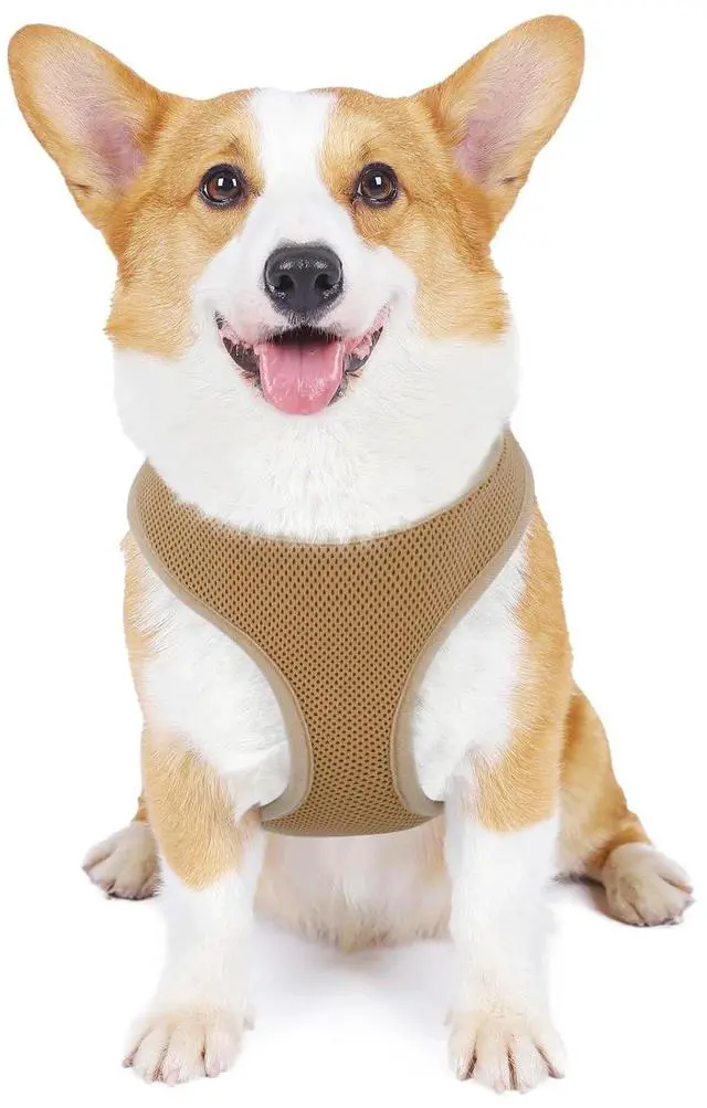 Main image of Dog Harness for Small Sized Dog, Soft Puppy Padded Vest for Walking, Running, Training - Light Brown, M