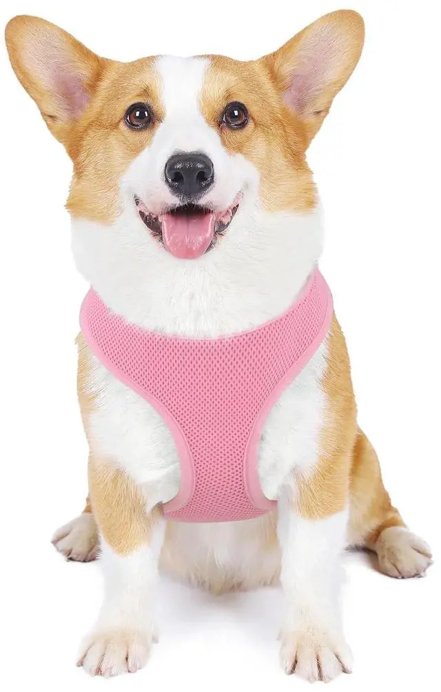 Main image of Dog Harness for Small Sized Dog, Soft Puppy Padded Vest for Walking, Running, Training - Pink, M