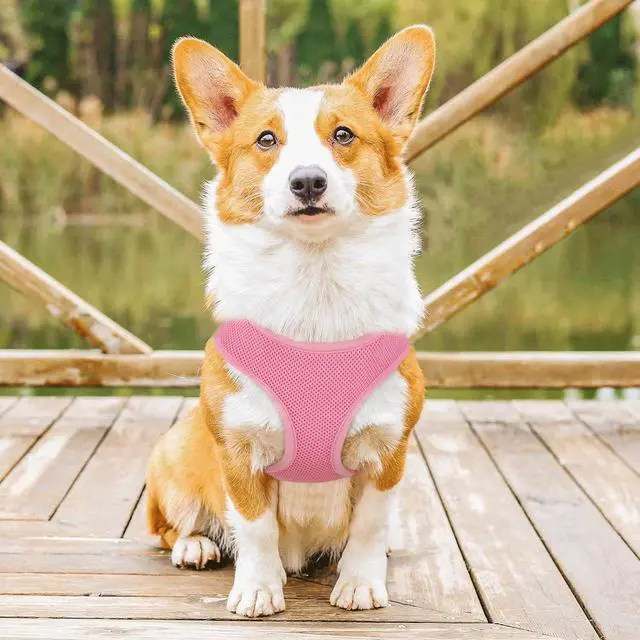 Alt view image 3 of 7 - Dog Harness for Small Sized Dog, Soft Puppy Padded Vest for Walking, Running, Training - Pink, M