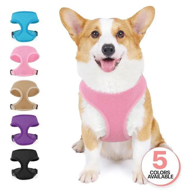 Alt view image 7 of 7 - Dog Harness for Small Sized Dog, Soft Puppy Padded Vest for Walking, Running, Training - Pink, M