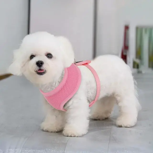 Alt view image 3 of 7 - Dog Harness for Small Sized Dog, Soft Puppy Padded Vest for Walking, Running, Training - Pink, XS