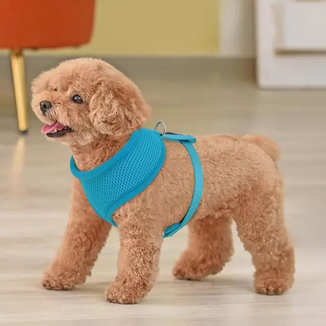 Alt view image 3 of 7 - Dog Harness for Small Sized Dog, Soft Puppy Padded Vest for Walking, Running, Training - Sky Blue, S