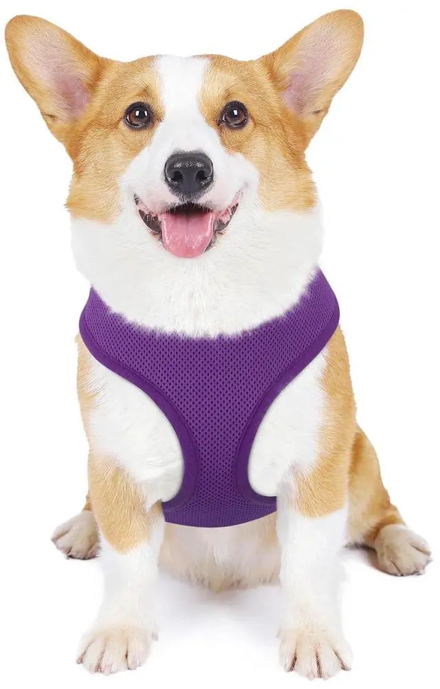 Main image of Dog Harness for Small Sized Dog, Soft Puppy Padded Vest for Walking, Running, Training - Purple, M