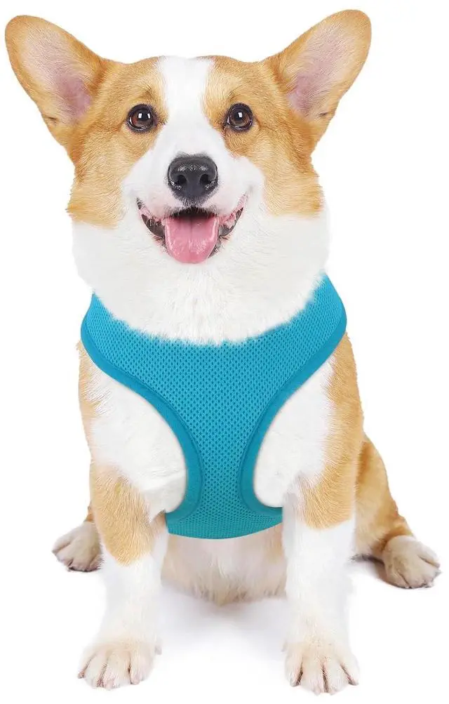 Main image of Dog Harness for Small Sized Dog, Soft Puppy Padded Vest for Walking, Running, Training - Sky Blue, M
