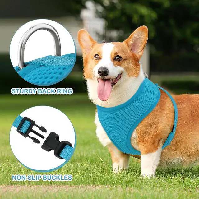 Alt view image 5 of 7 - Dog Harness for Small Sized Dog, Soft Puppy Padded Vest for Walking, Running, Training - Sky Blue, M