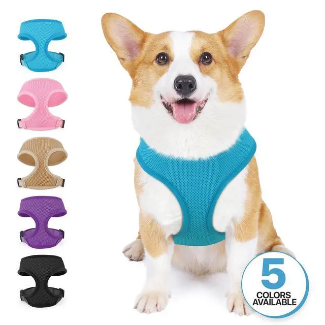 Alt view image 7 of 7 - Dog Harness for Small Sized Dog, Soft Puppy Padded Vest for Walking, Running, Training - Sky Blue, M