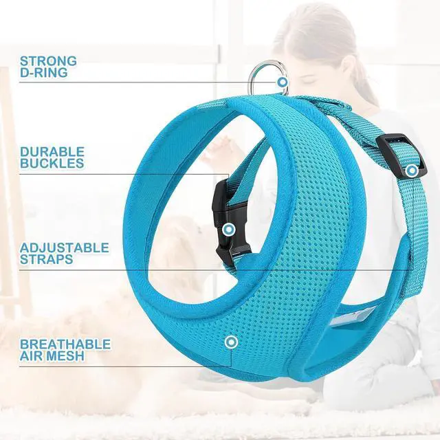 Alt view image 4 of 7 - Dog Harness for Small Sized Dog, Soft Puppy Padded Vest for Walking, Running, Training - Sky Blue, M