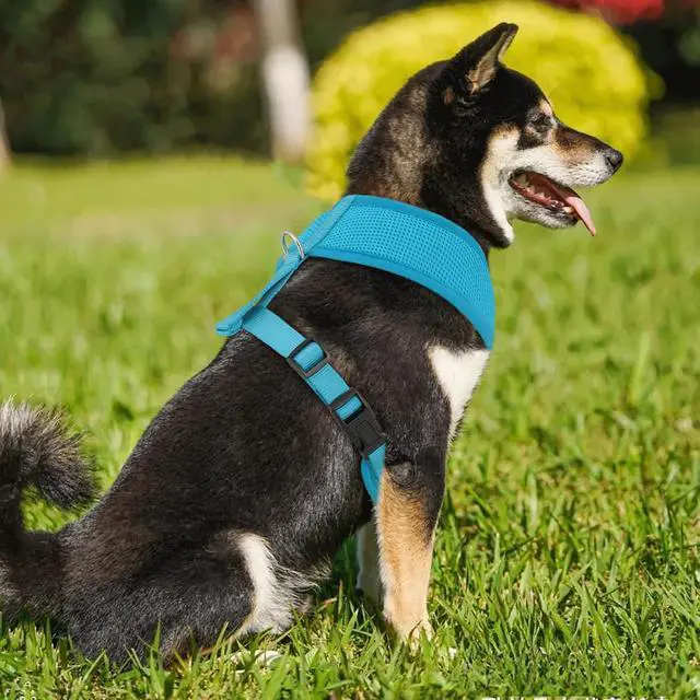 Alt view image 3 of 7 - Dog Harness for Large Sized Dog, Soft Puppy Padded Vest for Walking, Running, Training - Sky Blue, XL