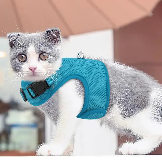 Alt view image 3 of 7 - Soft Cat Harness for Walking Escape Proof and Travel, Kitten Adjustable Breathable Vest Harness - Sky Blue, L