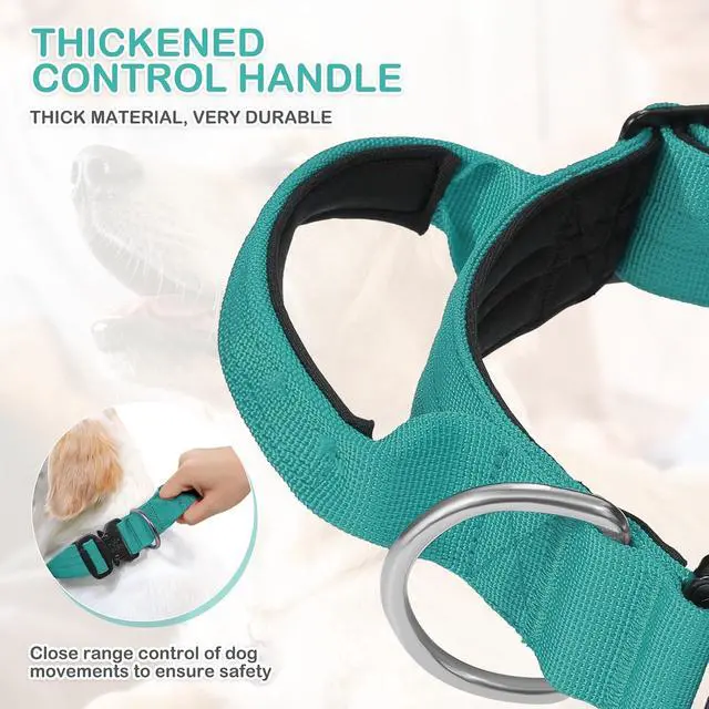 Alt view image 5 of 7 - Tactical Dog Collar with Handle, 1.5 Inch Wide Heavy Duty Military Collar for Medium Large Dog Walking, Training, Running, Teal