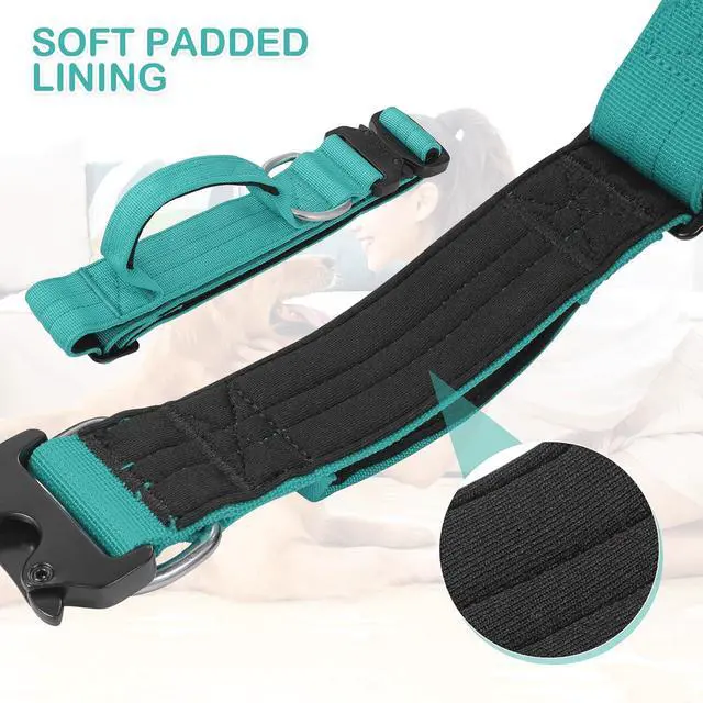 Alt view image 6 of 7 - Tactical Dog Collar with Handle, 1.5 Inch Wide Heavy Duty Military Collar for Medium Large Dog Walking, Training, Running, Teal