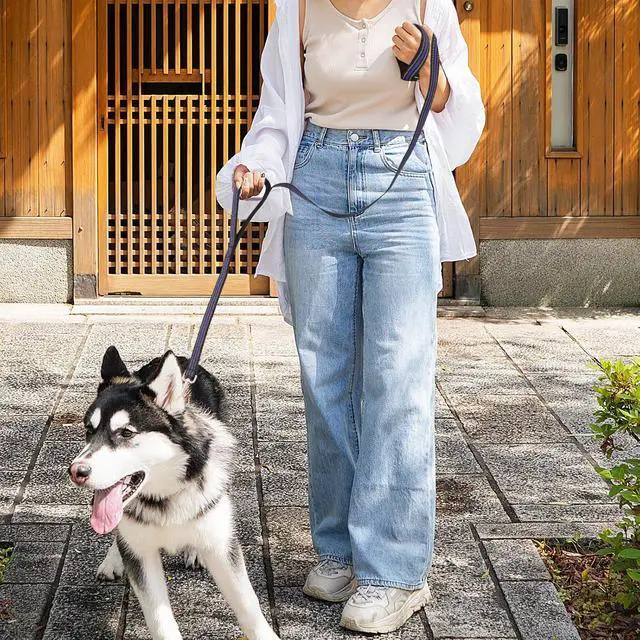 Alt view image 3 of 7 - 5 Feet Dog Leash Rope Heavy Duty Reflective Dog Leashes with 2 Comfortable Padded Traffic Handles for Walking and Training, Purple