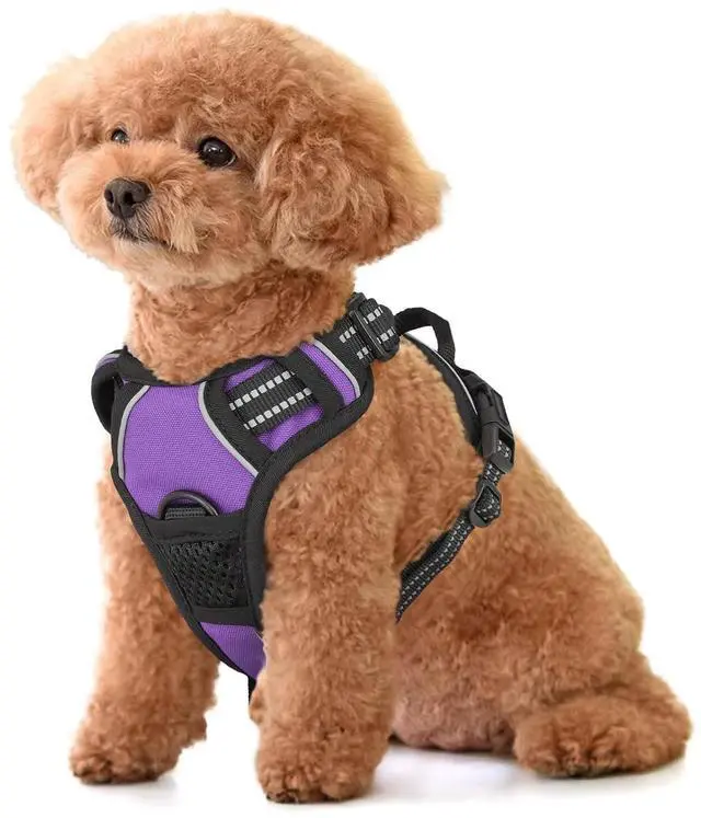 Main image of Reflective Dog Harness, No Pull Vest Harness with Handle, Adjustable Soft Padded Pet Harness for Small Dogs, Purple, S