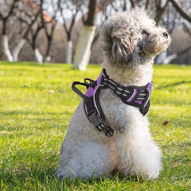 Alt view image 4 of 7 - Reflective Dog Harness, No Pull Vest Harness with Handle, Adjustable Soft Padded Pet Harness for Small Dogs, Purple, S