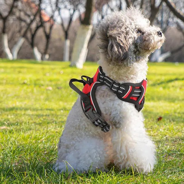 Alt view image 4 of 7 - Reflective Dog Harness, No Pull Vest Harness with Handle, Adjustable Soft Padded Pet Harness for Small Dogs, Red, S