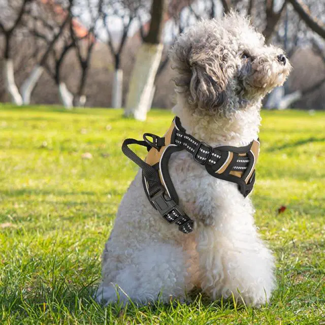 Alt view image 4 of 7 - Reflective Dog Harness, No Pull Vest Harness with Handle, Adjustable Soft Padded Pet Harness for Small Dogs, Light Brown, S