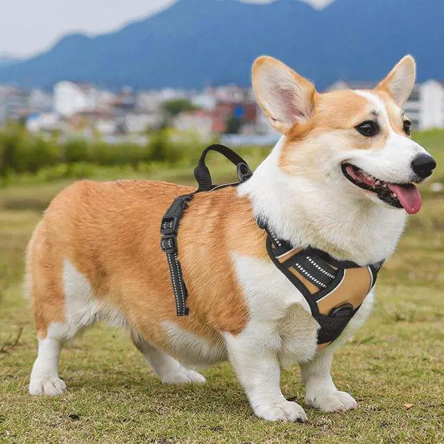 Alt view image 4 of 7 - Reflective Dog Harness, No Pull Vest Harness with Handle, Adjustable Soft Padded Pet Harness for Medium Dogs, Light Brown, M