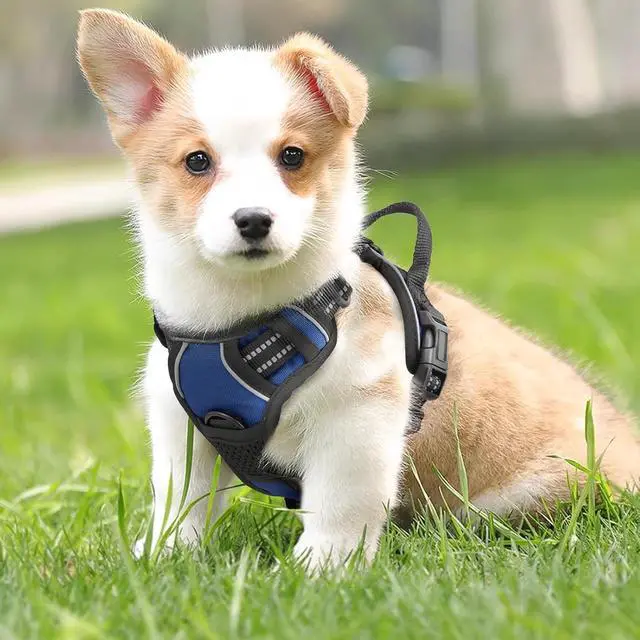 Alt view image 3 of 7 - Reflective Dog Harness, No Pull Vest Harness with Handle, Adjustable Soft Padded Pet Harness for Medium Dogs, Navy Blue, M