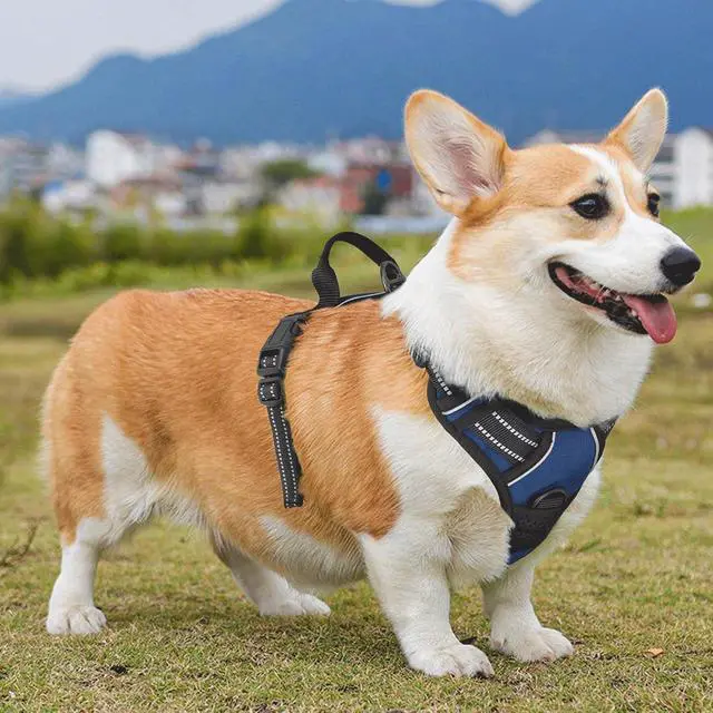 Alt view image 4 of 7 - Reflective Dog Harness, No Pull Vest Harness with Handle, Adjustable Soft Padded Pet Harness for Medium Dogs, Navy Blue, M