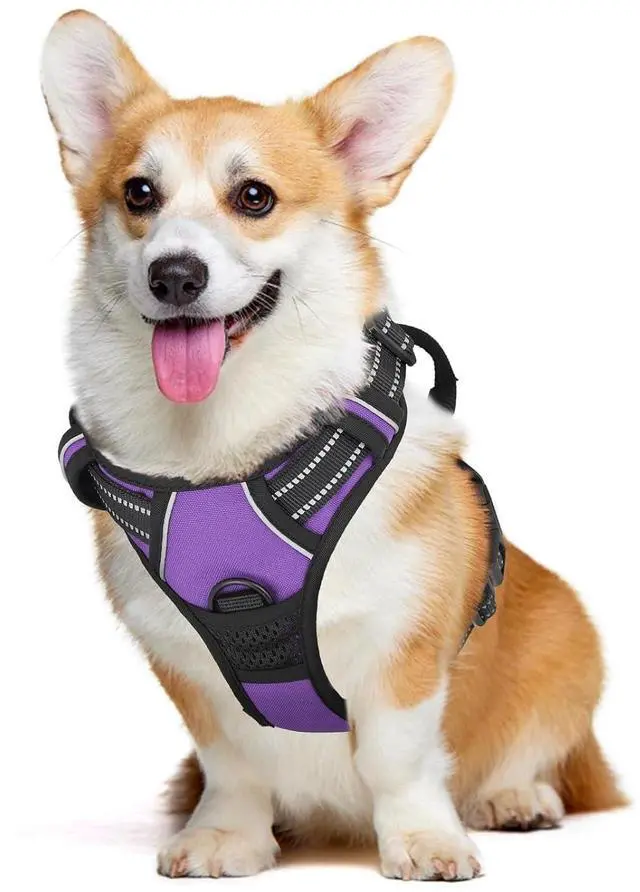 Main image of Reflective Dog Harness, No Pull Vest Harness with Handle, Adjustable Soft Padded Pet Harness for Medium Dogs, Purple, M