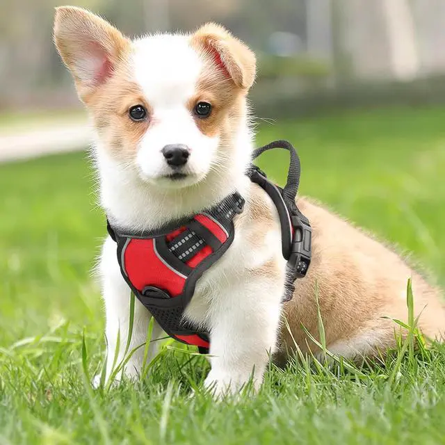 Alt view image 3 of 7 - Reflective Dog Harness, No Pull Vest Harness with Handle, Adjustable Soft Padded Pet Harness for Medium Dogs, Red, M