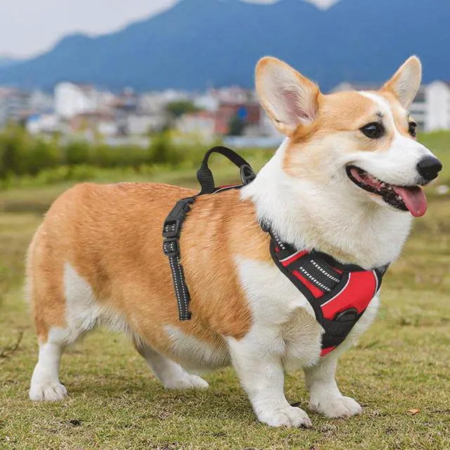 Alt view image 4 of 7 - Reflective Dog Harness, No Pull Vest Harness with Handle, Adjustable Soft Padded Pet Harness for Medium Dogs, Red, M