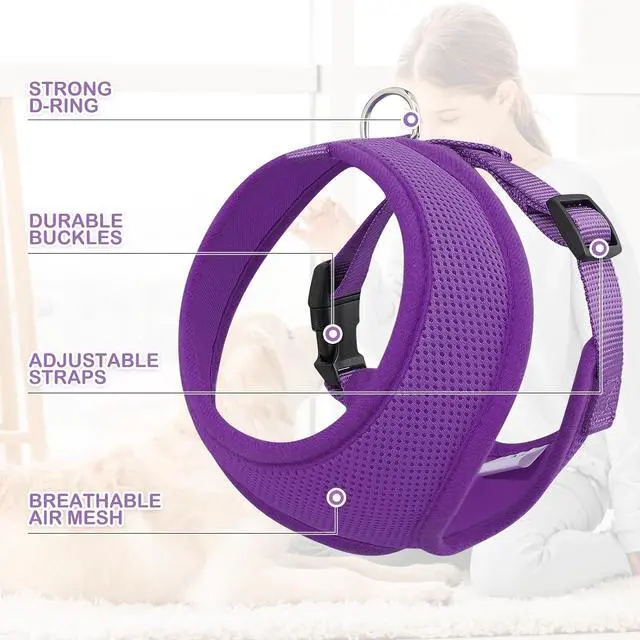 Alt view image 4 of 7 - Dog Harness for Small Sized Dog, Soft Puppy Padded Vest for Walking, Running, Training - Purple, M