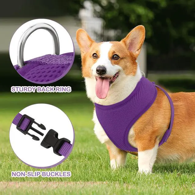 Alt view image 5 of 7 - Dog Harness for Small Sized Dog, Soft Puppy Padded Vest for Walking, Running, Training - Purple, M