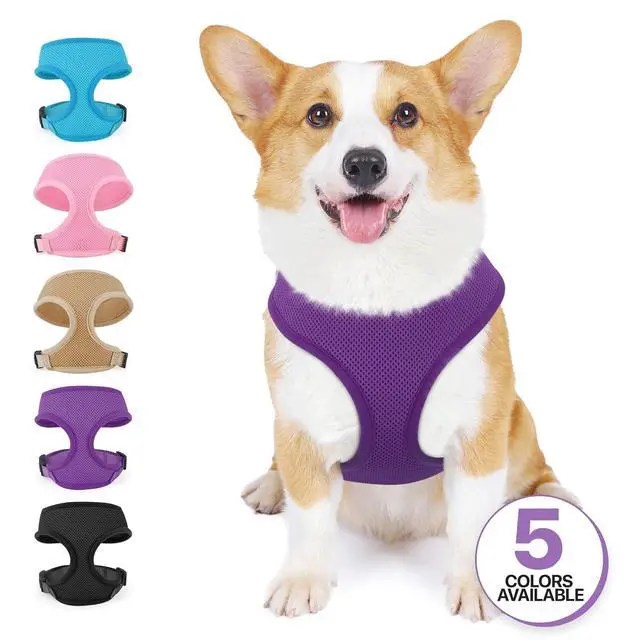 Alt view image 7 of 7 - Dog Harness for Small Sized Dog, Soft Puppy Padded Vest for Walking, Running, Training - Purple, M