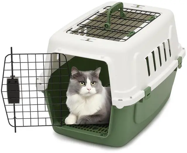 Main image of 22 Inch Hard-Sided Plastic Dog Carrier 2 Door Travel Crate for Small Dogs Cats up to 22 lbs, Durable Handle, Security Lock Design, Green