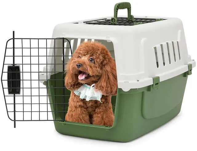 Main image of 22-Inch Dog Crate Plastic 2-Door Top Loading Cat Carrier, Hard-Sided Dog Travel Carrier for Small Dogs and Cats, Ventilation and Security Lock Design for Pets up to 22 lbs (Green)