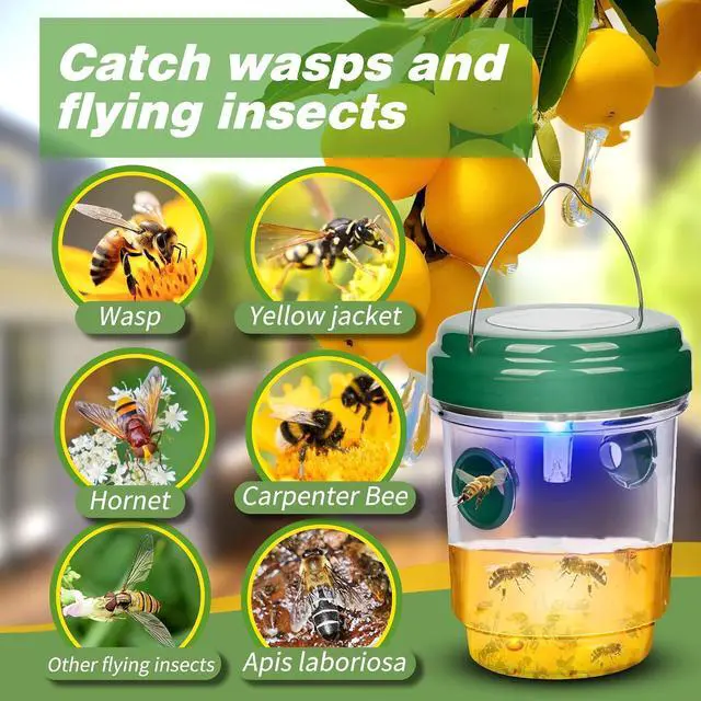 Alt view image 2 of 7 - Wasp Traps Outdoor Hanging, Solar Bee Trap 4 Packs, 2026 Upgrade Wasp Deterrent Killer, Carpenter bee Catcher for Outside, Flying Insect Traps Reusable Yellow Jacket Hornet Catchers with LED Light