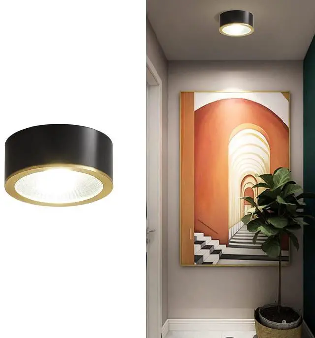 Main image of Black LED Flush Mount Ceiling Light 9W Warm Light Modern Brass Ceiling Lamp for Bedroom, Living Room, Entryway
