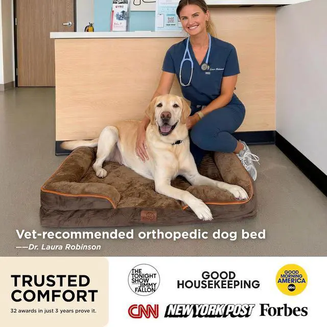 Alt view image 2 of 7 - Self Warming Orthopedic Dogs Bed for Small Dogs - Washable Small Dog Bed Waterproof, Comfort Pet Couch with Removable Cover, Pets Sofa with Nonskid Bottom, Brown, Non-Electric