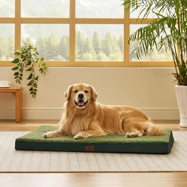 Main image of XL Dog Bed, Extra Large Pet Bed with Comfy Sherpa,44x32 Dark Green | Orthopedic Egg Crate Foam,Comfort Support Flat Rectangle Pet Mat,Non-Slip Bottom,Removable Cover,For Extra Pet Up to 80 lbs