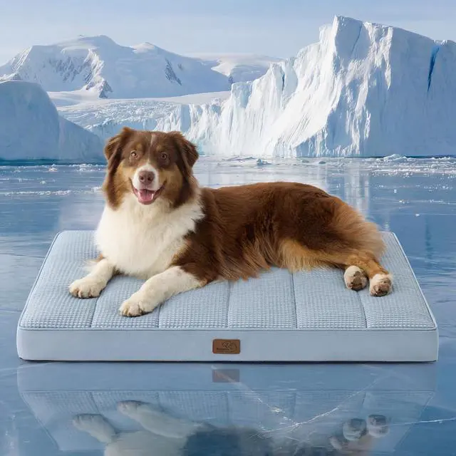 Main image of Cooling Dog Beds Large Sized Dog, Breathable Pet Summer Bed, 36Inch | Orthopedic Egg Crate Foam, Cold Summer Pad Mat, Non-Slip Bottom, Comfy Removable Washable Cover, For Pets Up to 55 lbs