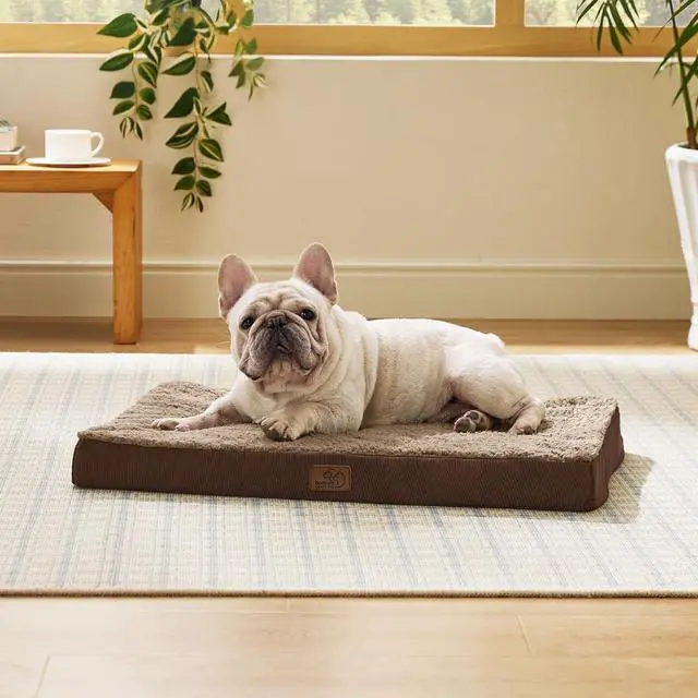 Main image of Washable Dog Bed Medium Size Dog with Comfy Sherpa, 30x20in Brown | Orthopedic Egg Crate Foam,Comfort Support Flat Rectangle Pet Mat,Non-Slip Bottom,Removable Cover,For Medium Pet Up to 30 lbs