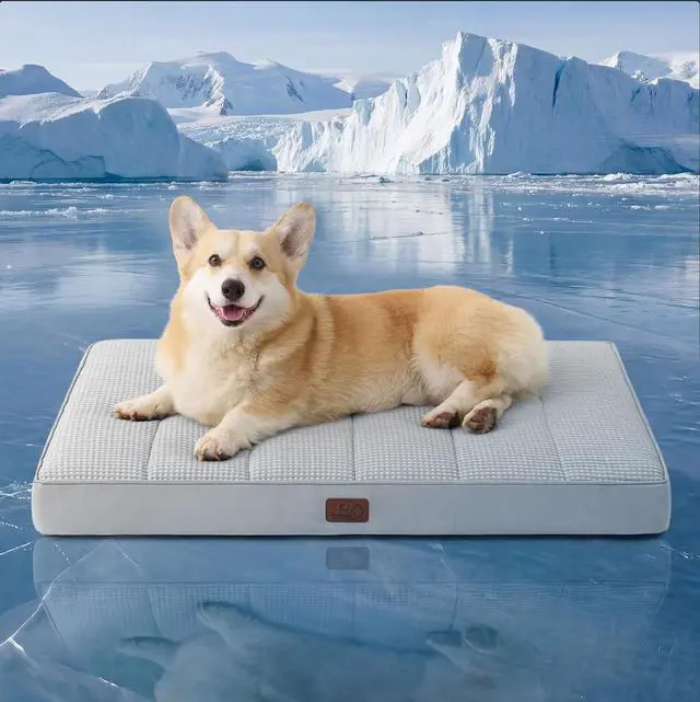 Main image of Cooling Dog Bed for Crate, Large Breathable Pet Summer Bed, 35 Inch | Orthopedic Egg Crate Foam, Cold Summer Pad Mat, Non-Slip Bottom, Comfy Removable Washable Cover, For Pets Up to 40 lbs