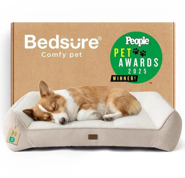 Main image of SupportMax Extra Thick Orthopedic Dog Bed Medium Size Dog | 35" Premium Supportive Couch for Senior Dogs, Water-resistant Removable Washable Cover, Comfy Pet Sofa with Sherpa, Cream