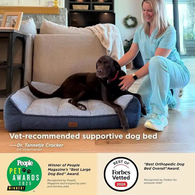 Alt view image 2 of 7 - SupportMax Extra Thick Orthopedic Dog Bed Medium Size Dog | 35" Premium Supportive Couch for Senior Dogs, Water-resistant Removable Washable Cover, Comfy Pet Sofa with Sherpa, Brown