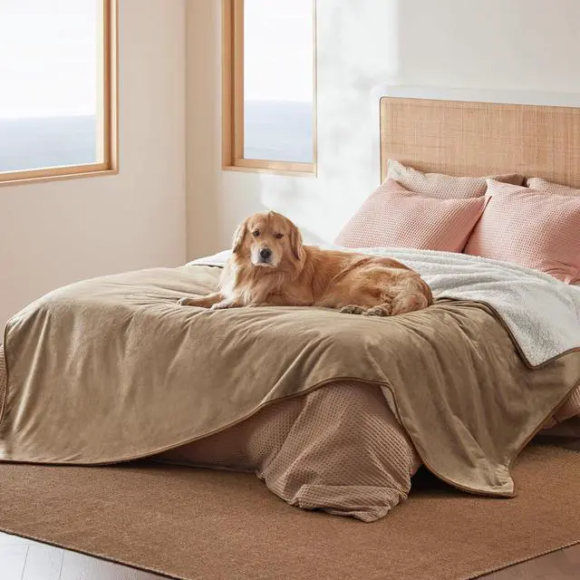 Main image of Waterproof Blanket for Bed Soft Sherpa Fleece Throw,Queen 90x86 | Plush Cozy Calming Reversible Dog Blankets for Large Senior Dogs,Warm Bed Couch Cover,Pet Furniture Protector,Camel