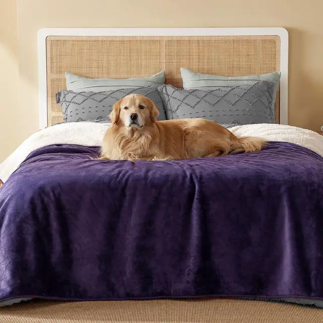 Main image of Waterproof Blanket for Bed Soft Sherpa Fleece Throw,Queen 90x86 | Plush Cozy Calming Reversible Dog Blankets for Large Senior Dogs,Warm Bed Couch Cover,Pet Furniture Protector,Eggplant